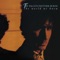 A Little Mixed Up - Tav Falco Panther Burns lyrics