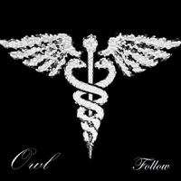 따라갈께 Follow - Single - Owl