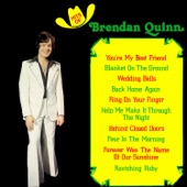 Hits of Brendan Quinn artwork