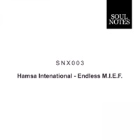 Endless M.I.E.F. - EP - Hamsa Intenational