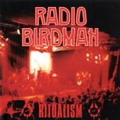 Radio Birdman - Aloha Steve & Danno