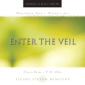 Enter the Veil artwork