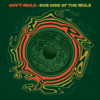 Endless Parade (Live) - Gov't Mule