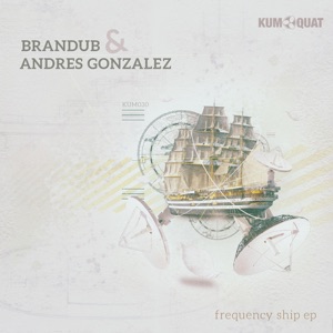 Frequency Ship - Single