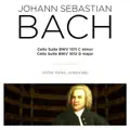 Cello Suite No. 6 in D Major, BWV 1012: IV. Sarabande