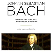 Cello Suite No. 6 in D Major, BWV 1012: IV. Sarabande