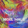 Nigel Male - Domingo a Tarde
