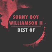Sonny Boy Williamson II - Sonny Boy's Christmas Blues