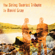 The String Quartet Tribute to David Gray - Vitamin String Quartet