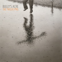 The Twelve Pins by Bully's Acre on Apple Music