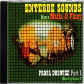 Entebbe Raid Dem Dub (feat. Mafia and Fluffy) artwork