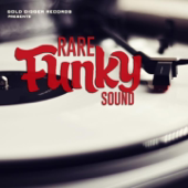 Rare Funky Sound - Various Artists