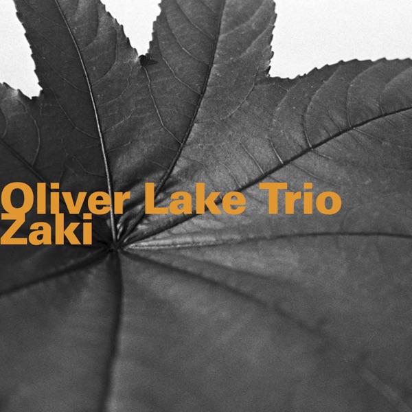 Zaki (feat. Oliver Lake, Michael Gregory Jackson & Pheeroan Aklaff)