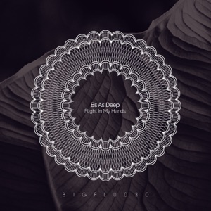 Flight in My Hands - Single