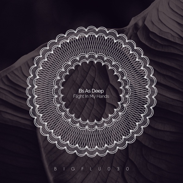 Flight in My Hands - Single