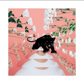 Fiona Coyne (feat. Pell) [Remix] Dream Panther