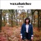 Air - Waxahatchee lyrics