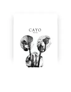 Black Tolexを聴いたり、ミュージックビデオを鑑賞したり、経歴やツアー日程などを確認したりしましょう！