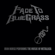 Enter Sandman (feat. Iron Horse) - Pickin' On Series