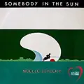 Somebody In the Sun