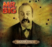 Mr. Big - The Man Who Has Everything