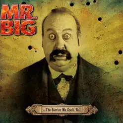 …The Stories We Could Tell - Mr. Big