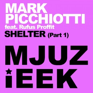 Shelter (feat. Rufus Proffit) - Single