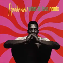 What Is Love (Remix) - Single - Haddaway