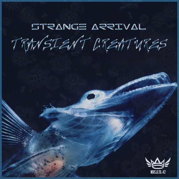 Transient Creatures - EP