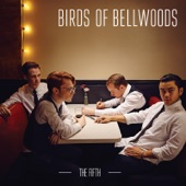 Birds of Bellwoods - Sky