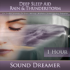Rain & Thunderstorm (Deep Sleep Aid) [For Tinnitus, Insomnia, De-Stress, Massage, Meditation, Holistic Healing, Relaxation] [1 Hour] - Sound Dreamer