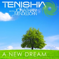A New Dream (Remixes) - Tenishia & Jonathan Mendelsohn
