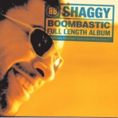 It wasnt me by Shaggy