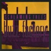 Windows by Screaming Trees