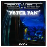 Peter Pan (Neverland Willy William Remix)