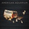 Man I'm Supposed to Be - American Aquarium lyrics