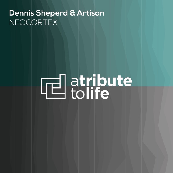 Neocortex - Single