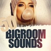 50 Bigroom Sounds