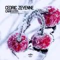 Careless (Radio Edit)