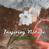 Nature Sounds - Nature Sounds Learning Academy