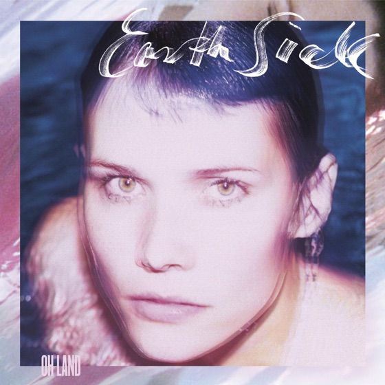 Cover artwork for Flags