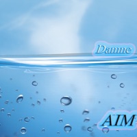 Aim - Single - Damne