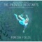 Puzzles - William Harries Graham & The Painted Redstarts lyrics