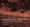 WIDESPREAD PANIC: "B of D" - 1/27/19 Panic en la Playa Ocho, Riviera Maya, MEX