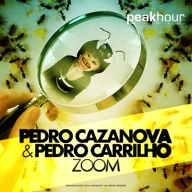 Zoom Pedro Carrilho & Pedro Cazanova