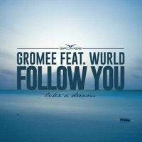 Follow You (feat. Wurld) - Single - Gromee