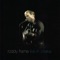 The Sea Is Wide - Roddy Frame lyrics
