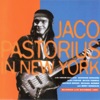 Jaco Pastorius