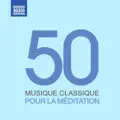 Oboe Concerto in F Major, Op. 9, No. 3: II. Adagio (non troppo) [T. Albinoni]