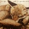 Red Fox - Jami Lynn lyrics